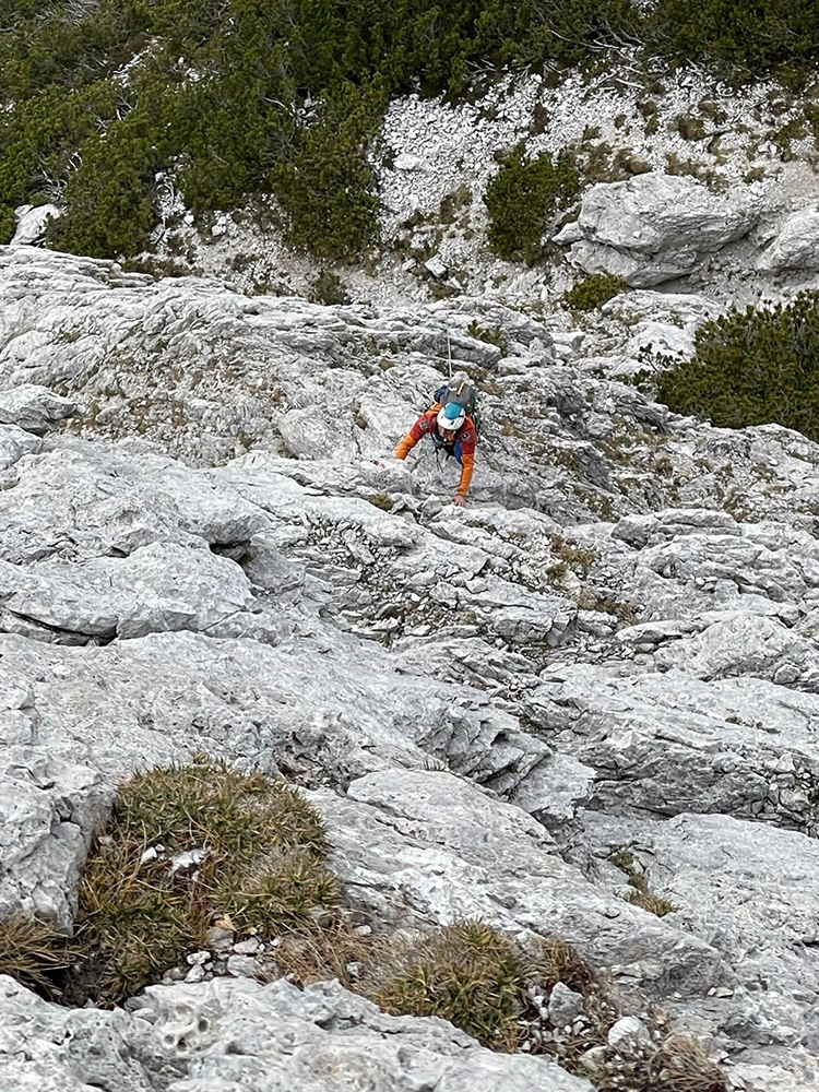 Dolomia, Val Comelico, Rondi del Comelico