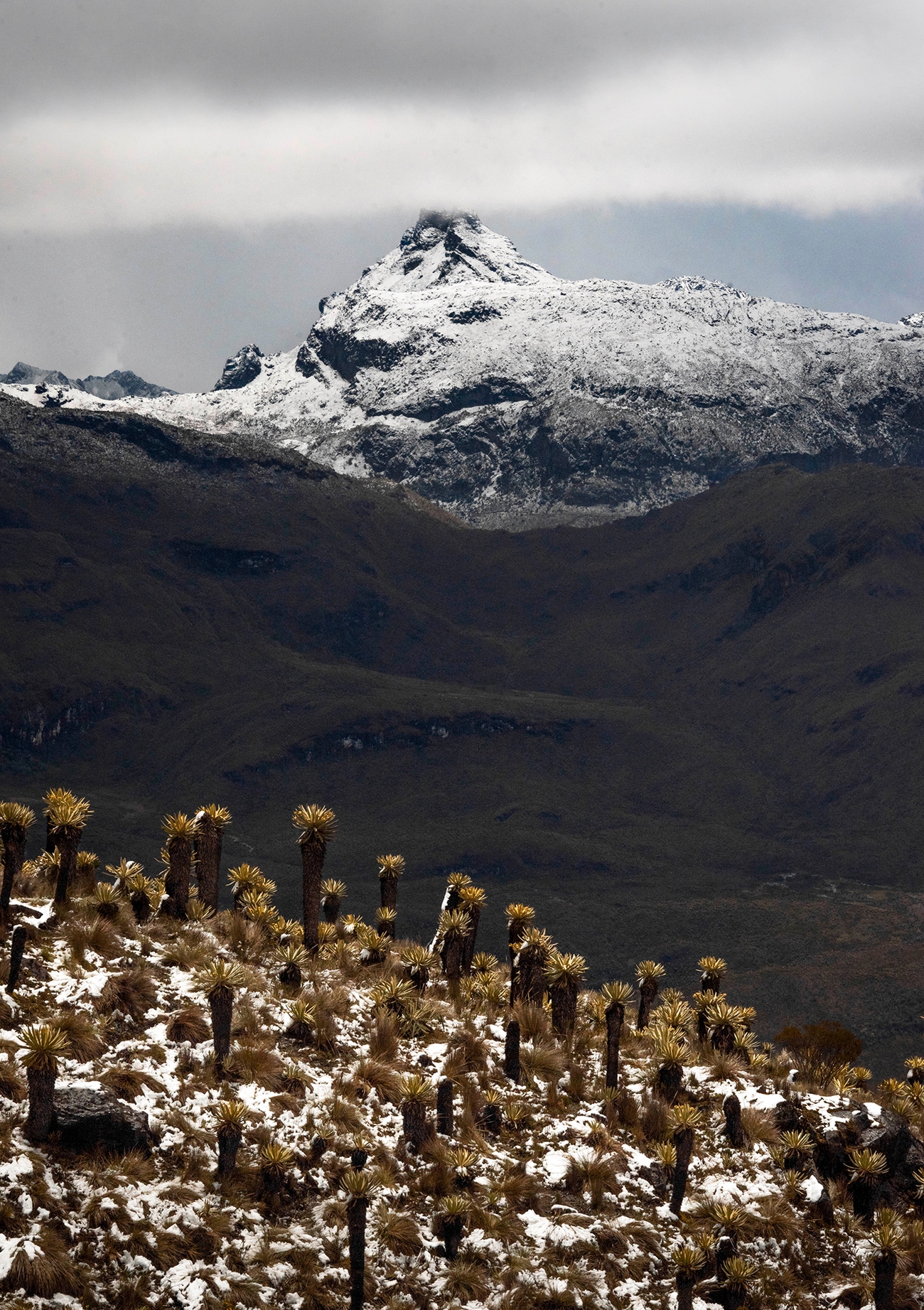 Colombia tropical glaciers, Gustavo Acosta