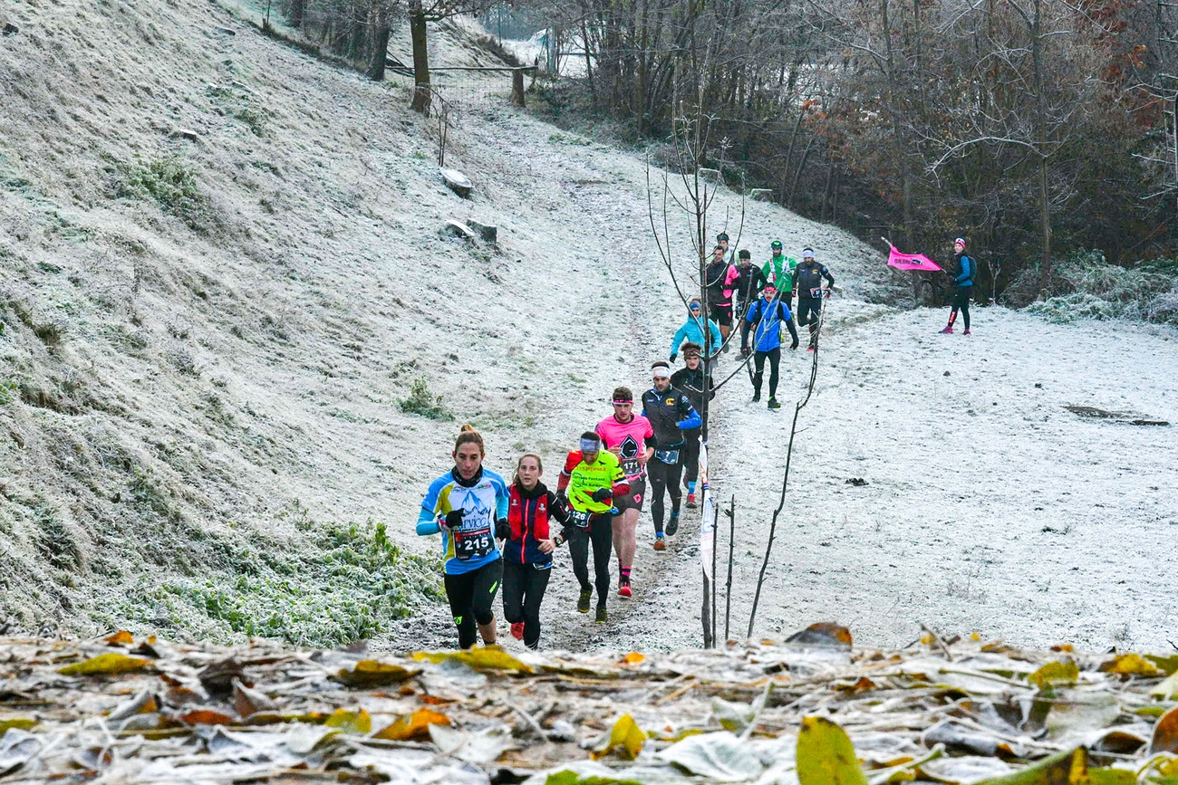 Monte Misma Xmas Trail
