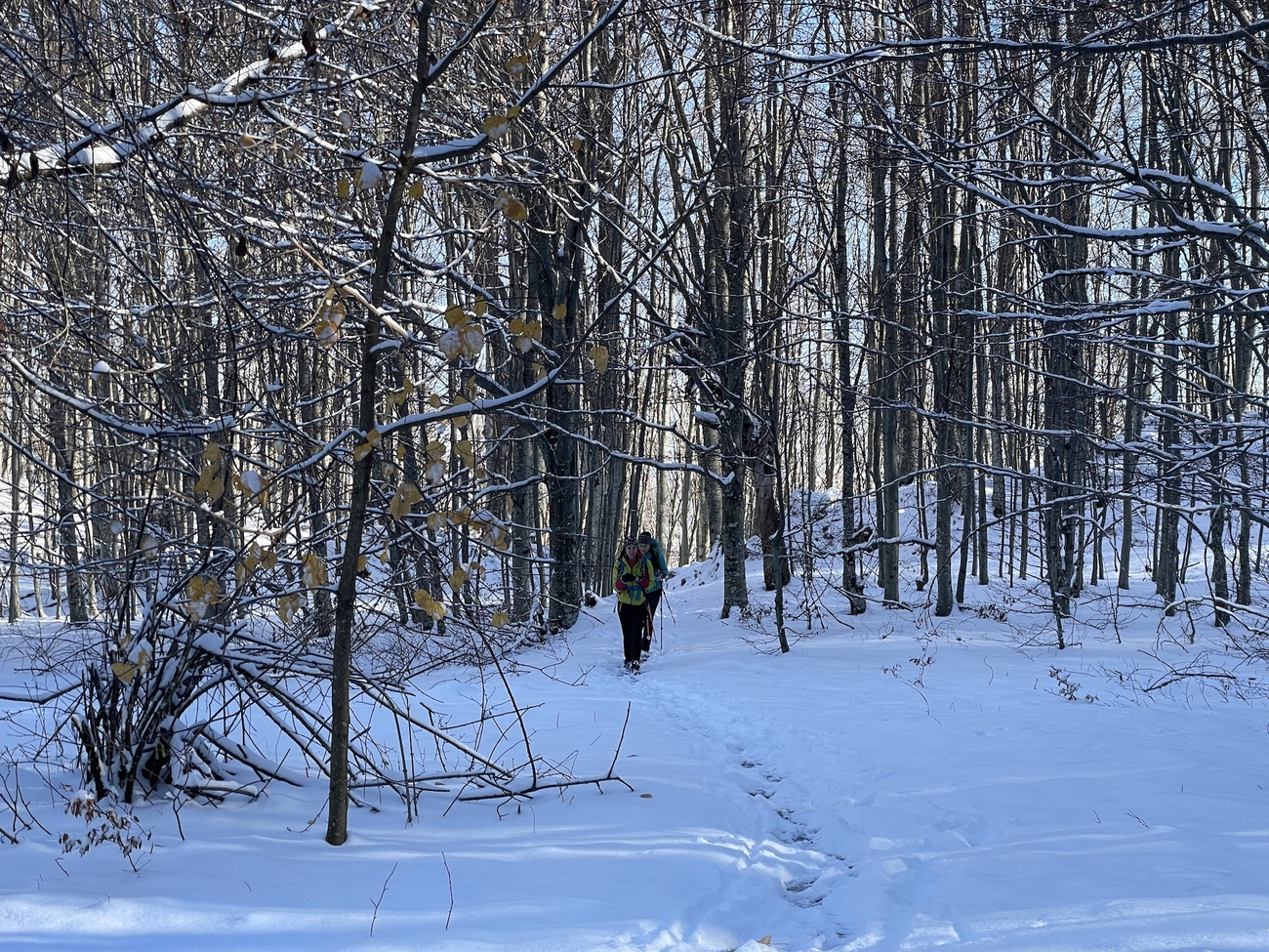 Mountain Guides course