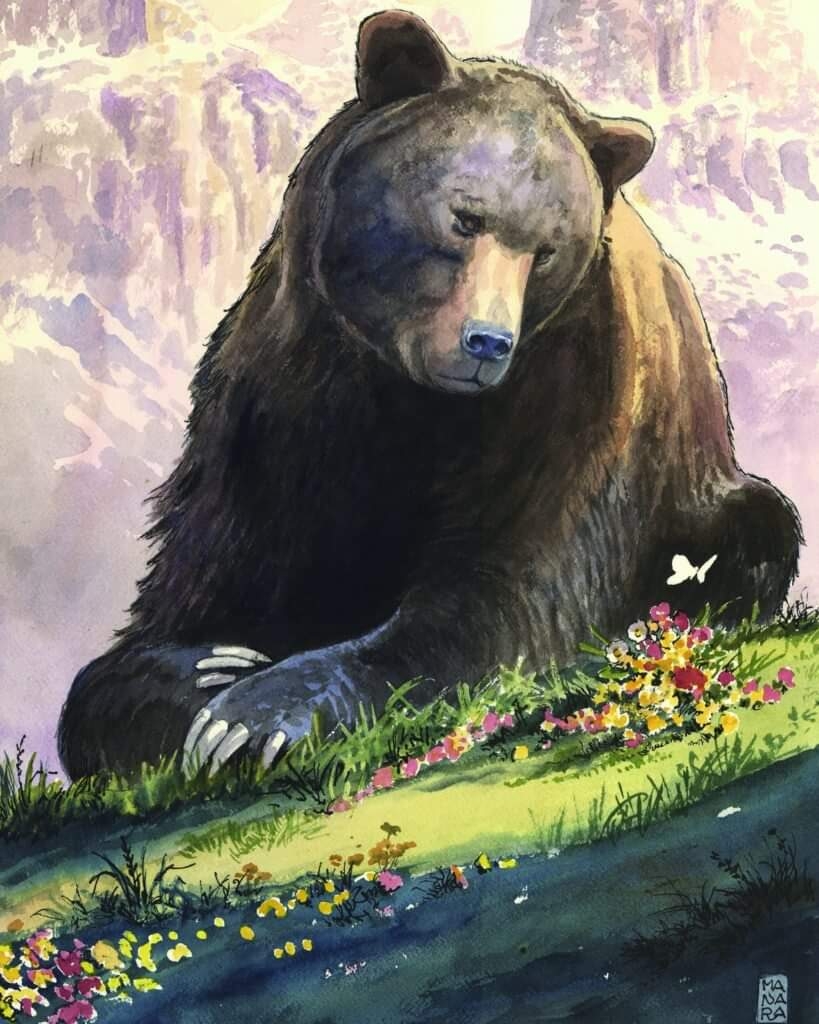 Orso Juan Carrito, Parco Nazionale d'Abruzzo Lazio e Molise