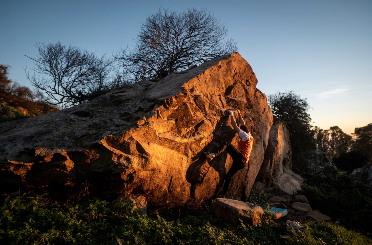 Bosco Scorace, Sicilia