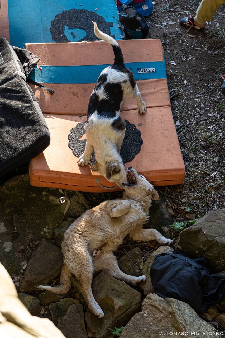 Bosco Scorace, Sicily, Elias Iagnemma