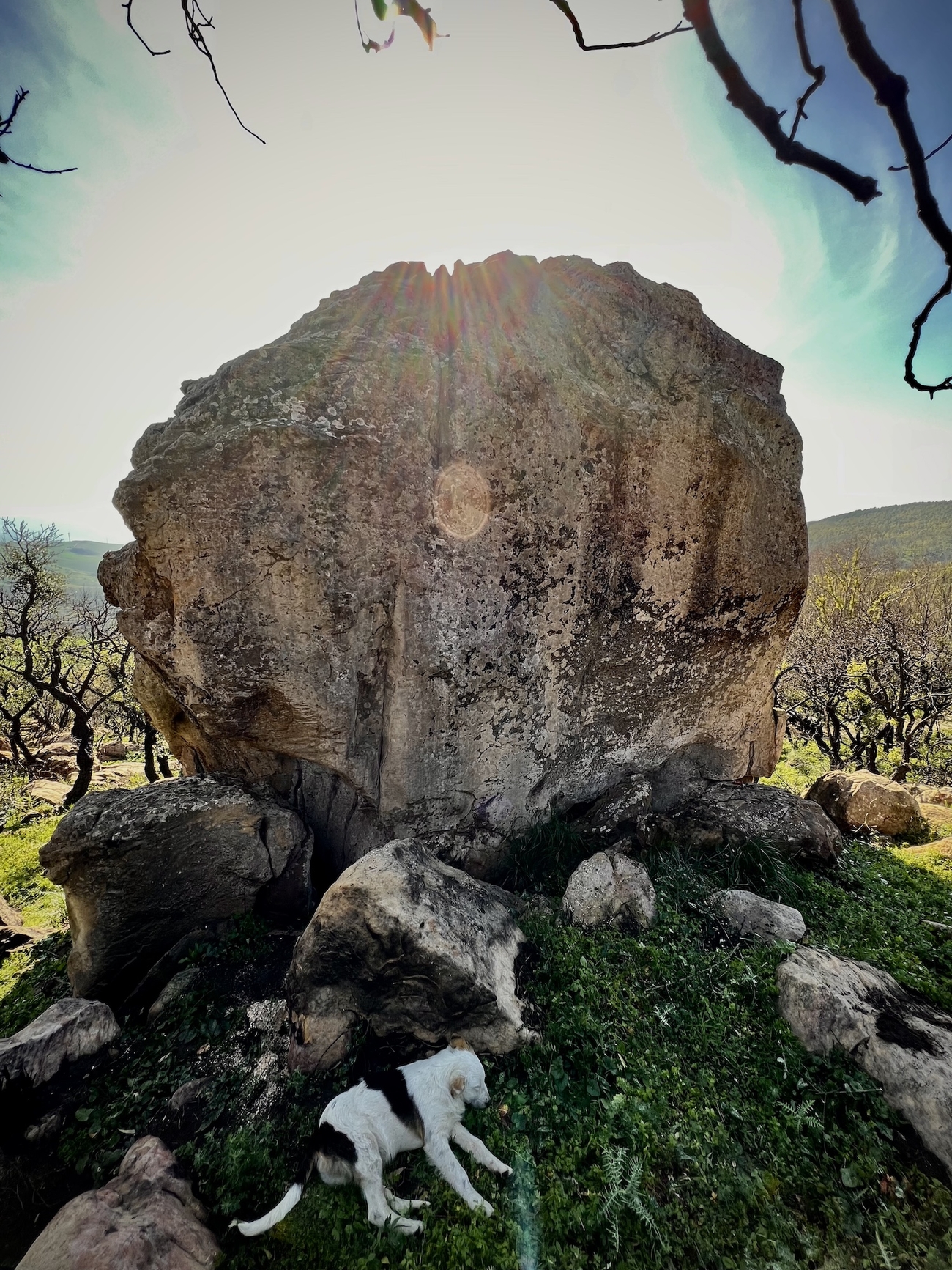 Bosco Scorace, Sicilia, Elias Iagnemma