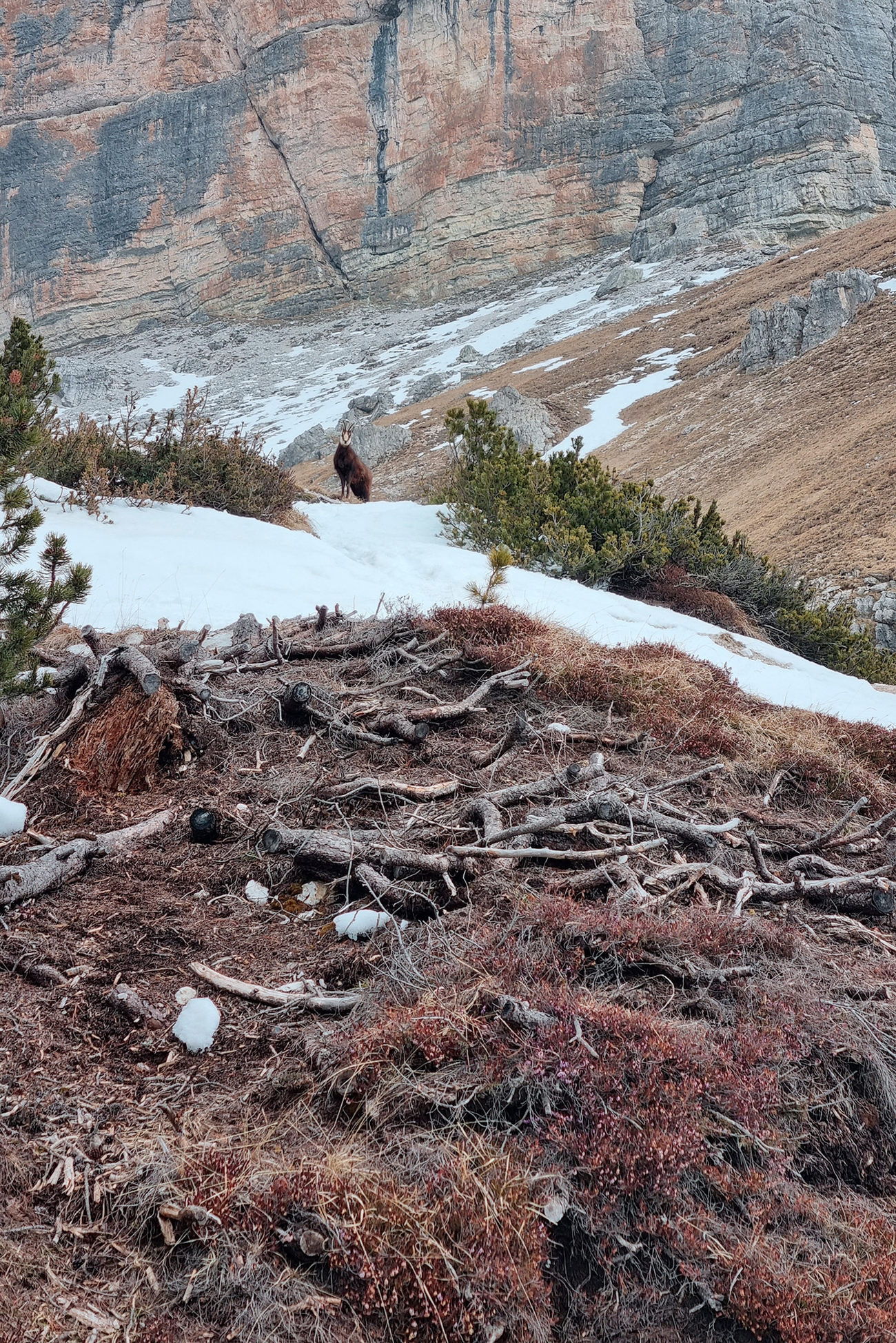 Water crisis across the Alps