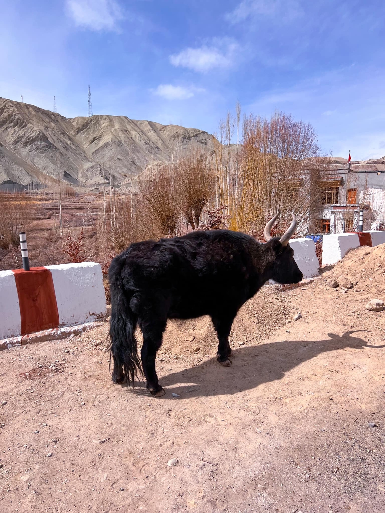 Omar Di Felice, Alone in Ladakh