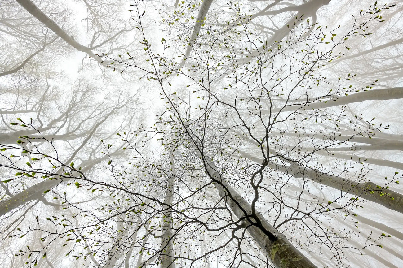 Fotografare il Parco XVI edizione