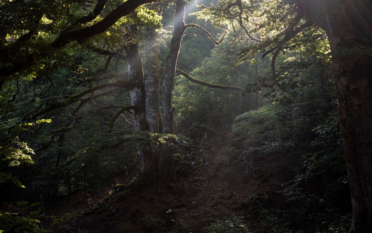 Fotografare il Parco XVI edizione