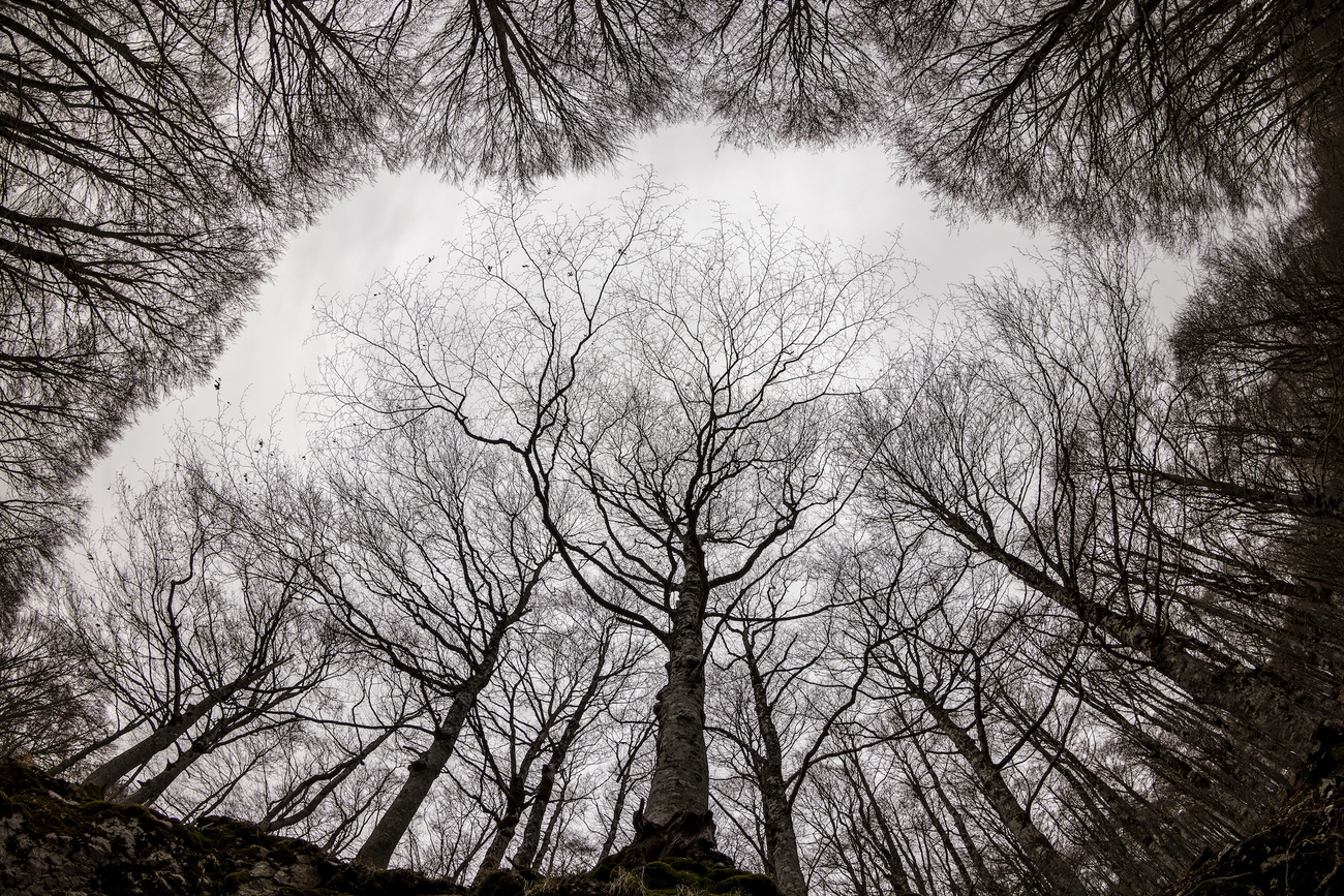 Fotografare il Parco XVI edizione