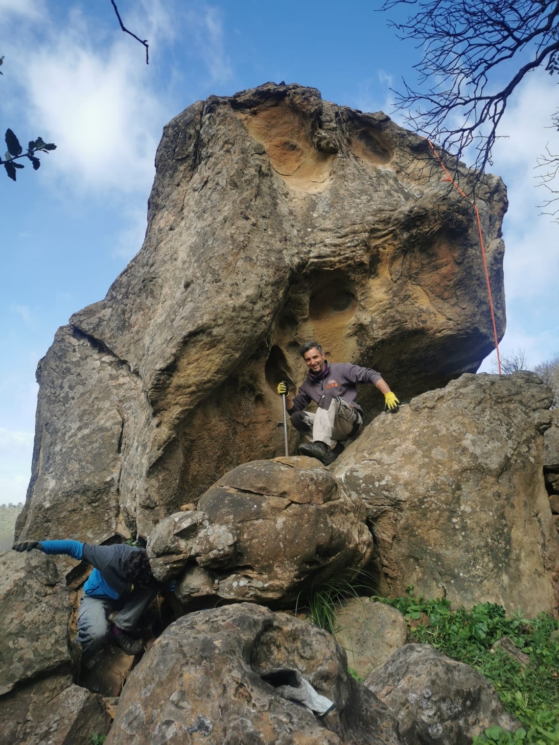 Bosco Scorace, Sicilia