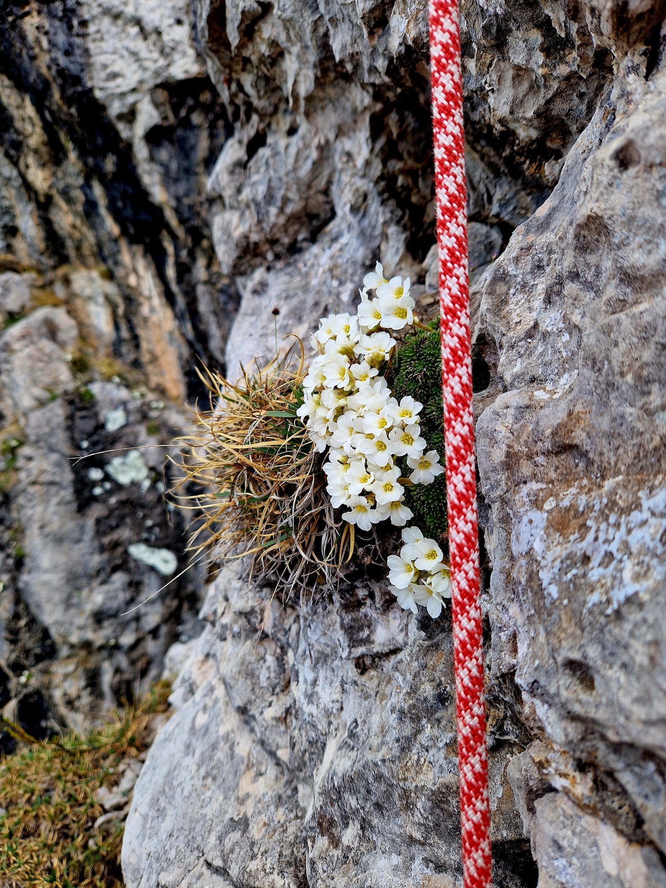 Via Barby, Zucco Barbisino, Alpi Orobie