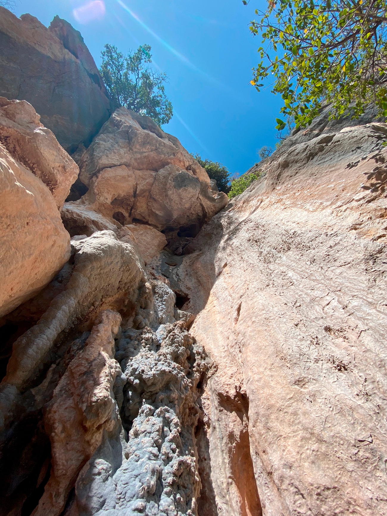 Tra Ombre e Luce, Monte Oddeu, Sardinia, Giuseppe Obinu, Luciano Muroni