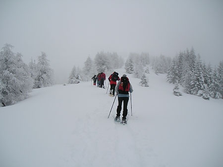 Snowshoeing in Friuli Venezia Giulia