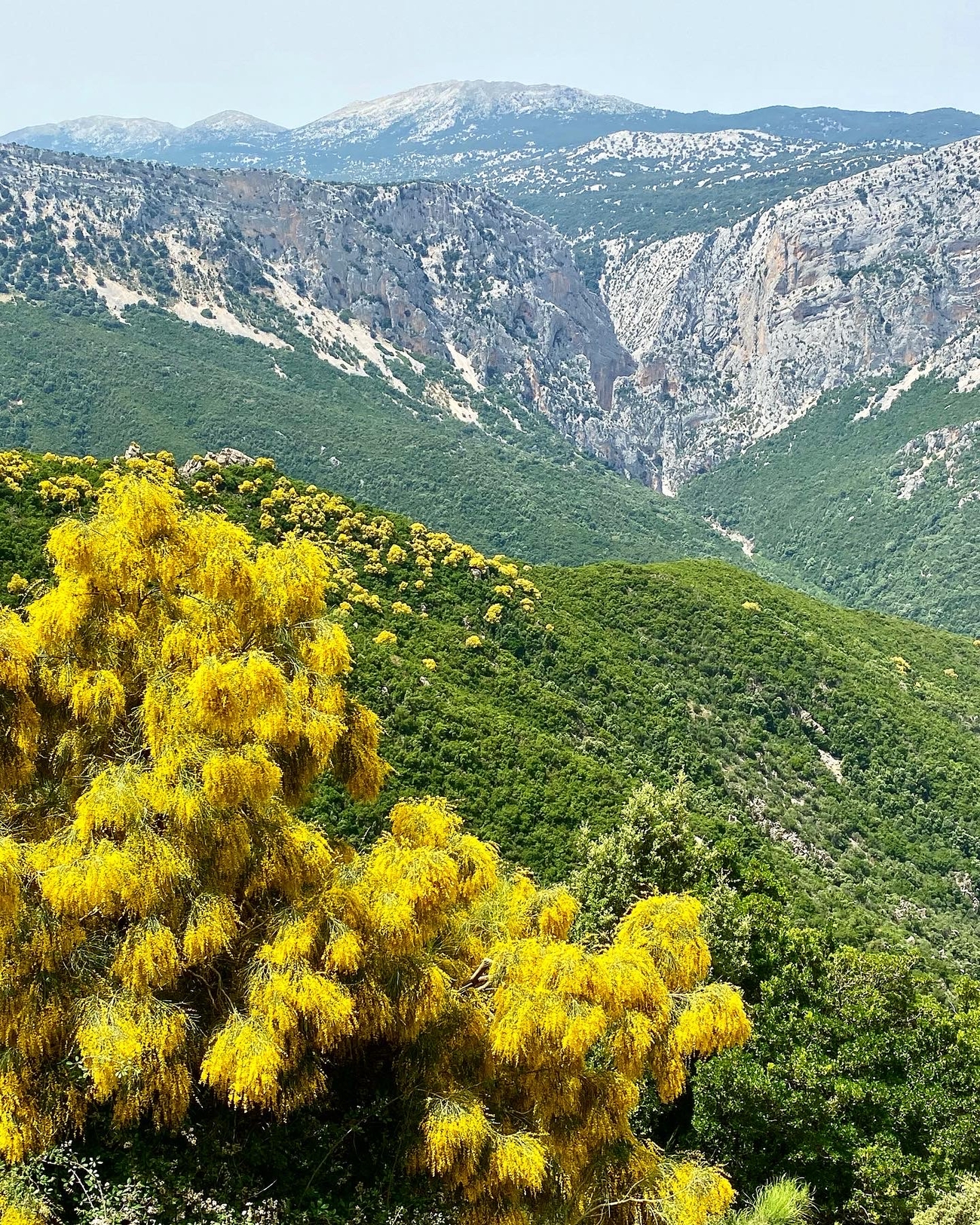 Genna Croce, Sardegna