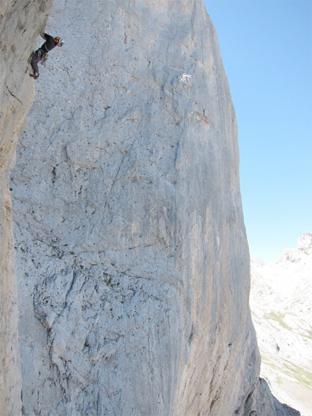 Naranjo de Bulnes