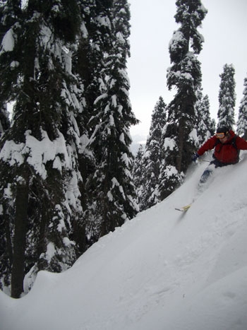 Kashmiri Powder