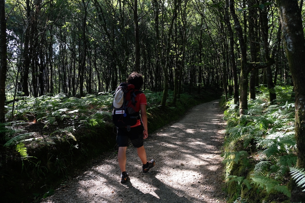 Camino de Santiago, Camino Ingles - The English Way, Alberto Sciamplicotti