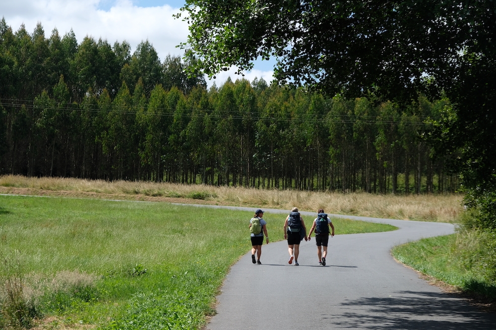 Camino de Santiago, Camino Ingles - The English Way, Alberto Sciamplicotti