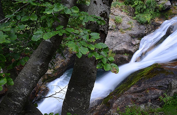 Trekking del Lupo