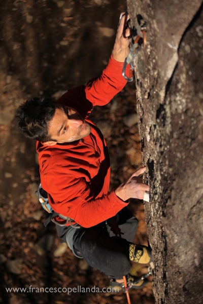 Nicola Vonarburg