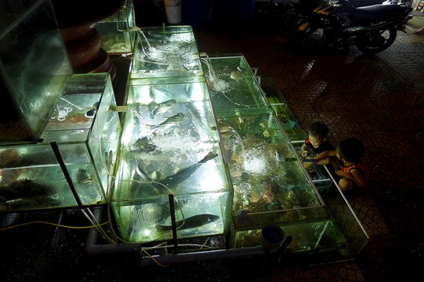 Vietnam Psicobloc