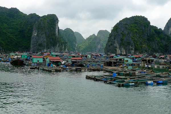 Vietnam Psicobloc