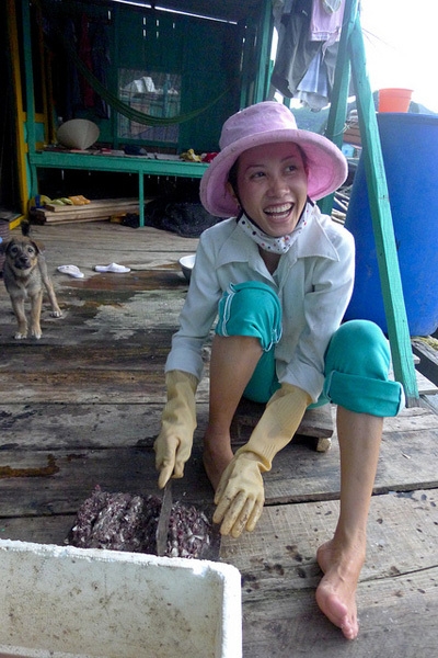 Vietnam Psicobloc