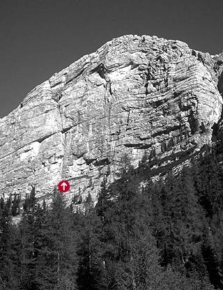 Los Angeles Col Becchei