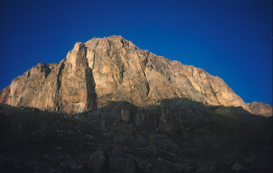 Le Penchant Fatal Ecaille de la Tête Colombe