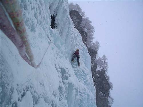 Salto del nido Gruppo Mesolcina-Spluga