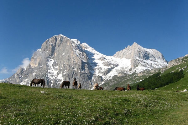 Diretta Consiglio Gran Sasso d'Italia, Corno Grande, Vetta occidentale