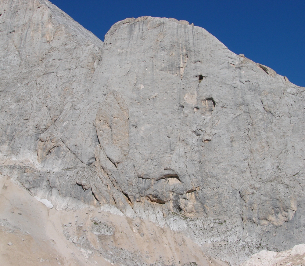 Mega grip Avancorpo del Gran Vernel