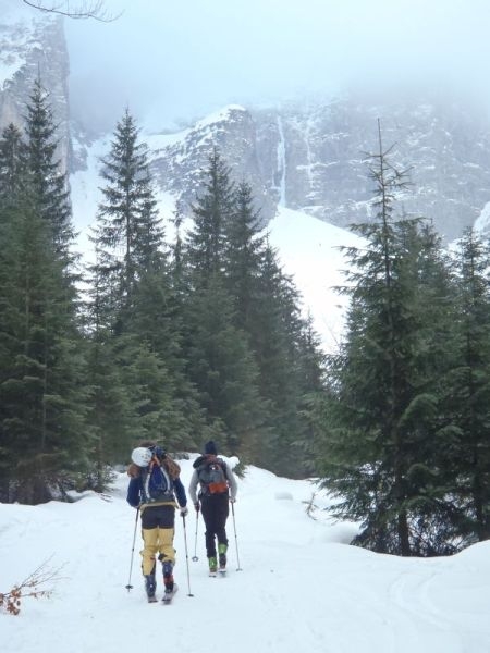 Goulotte Tina (Modotti)