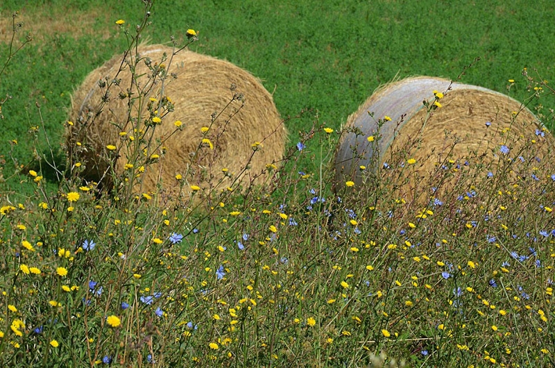 Parco Nazionale della Maiella