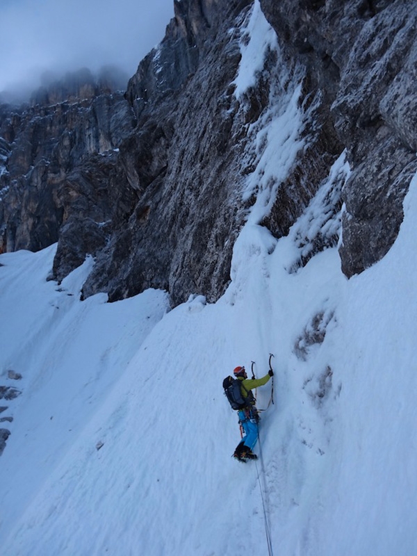 Argento Vivo Piccola Civetta