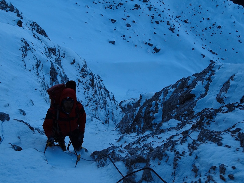 Argento Vivo Piccola Civetta