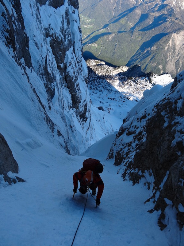 Argento Vivo Piccola Civetta