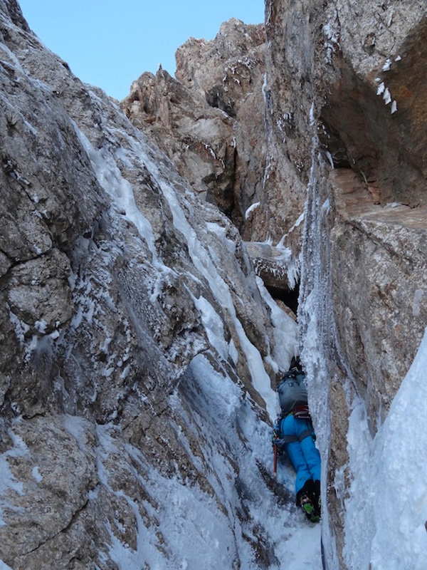 Argento Vivo Piccola Civetta