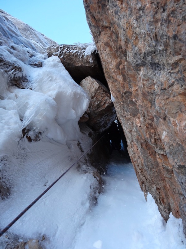 Argento Vivo Piccola Civetta