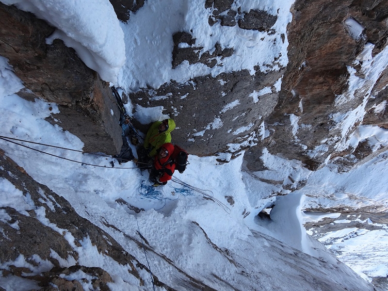 Argento Vivo Piccola Civetta