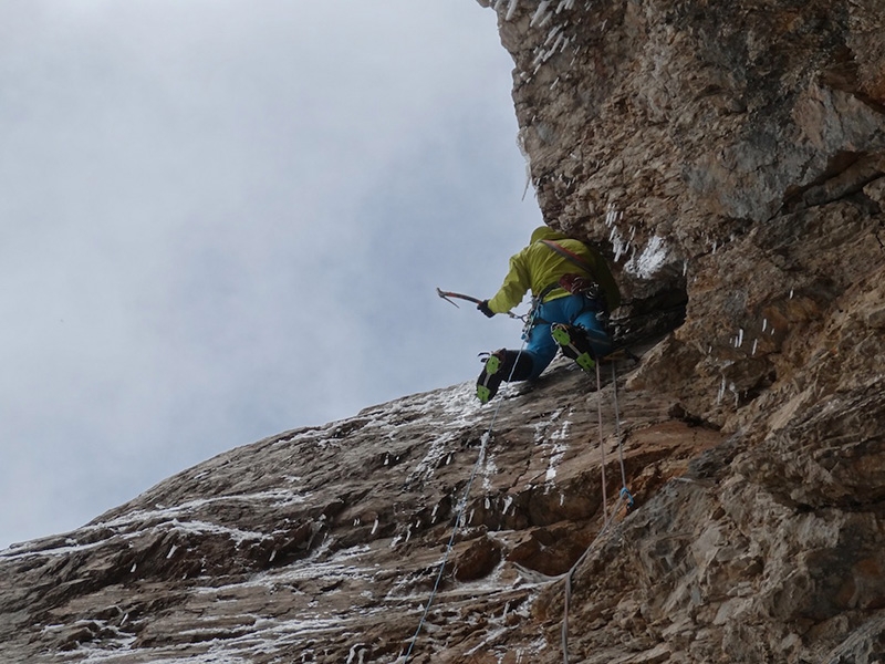 Argento Vivo Piccola Civetta