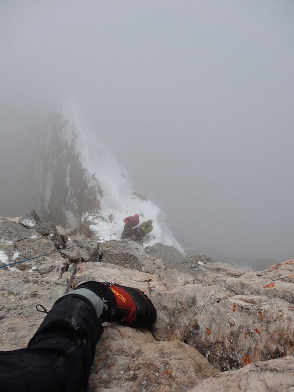 Argento Vivo Piccola Civetta