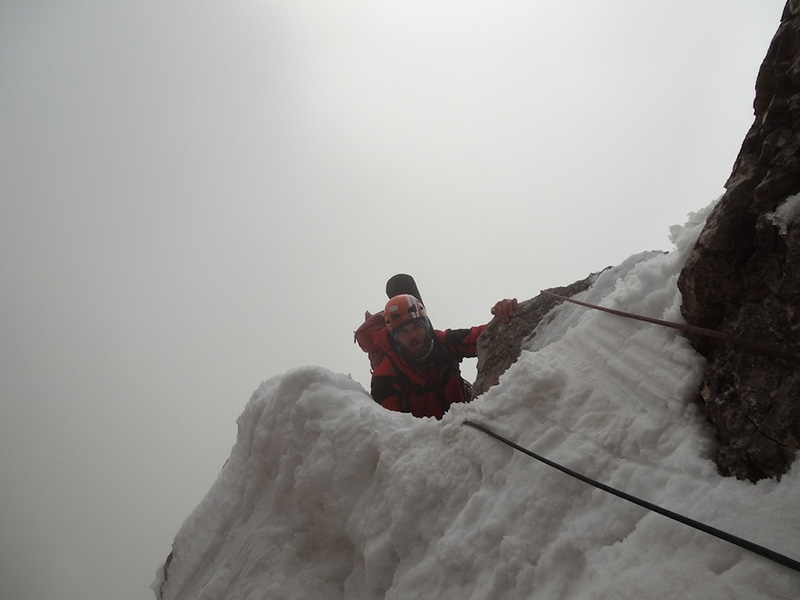 Argento Vivo Piccola Civetta