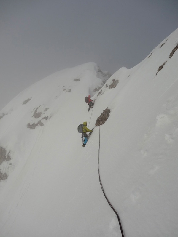 Argento Vivo Piccola Civetta