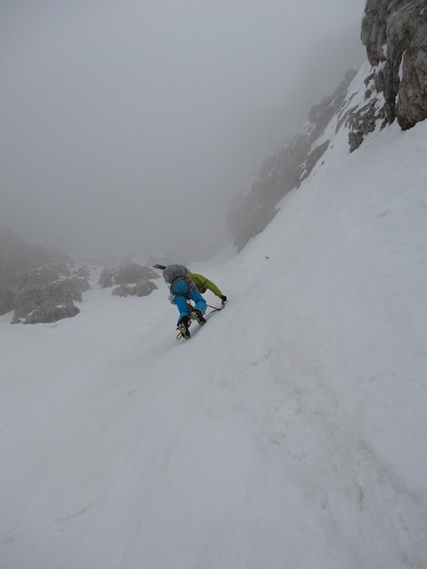 Argento Vivo Piccola Civetta