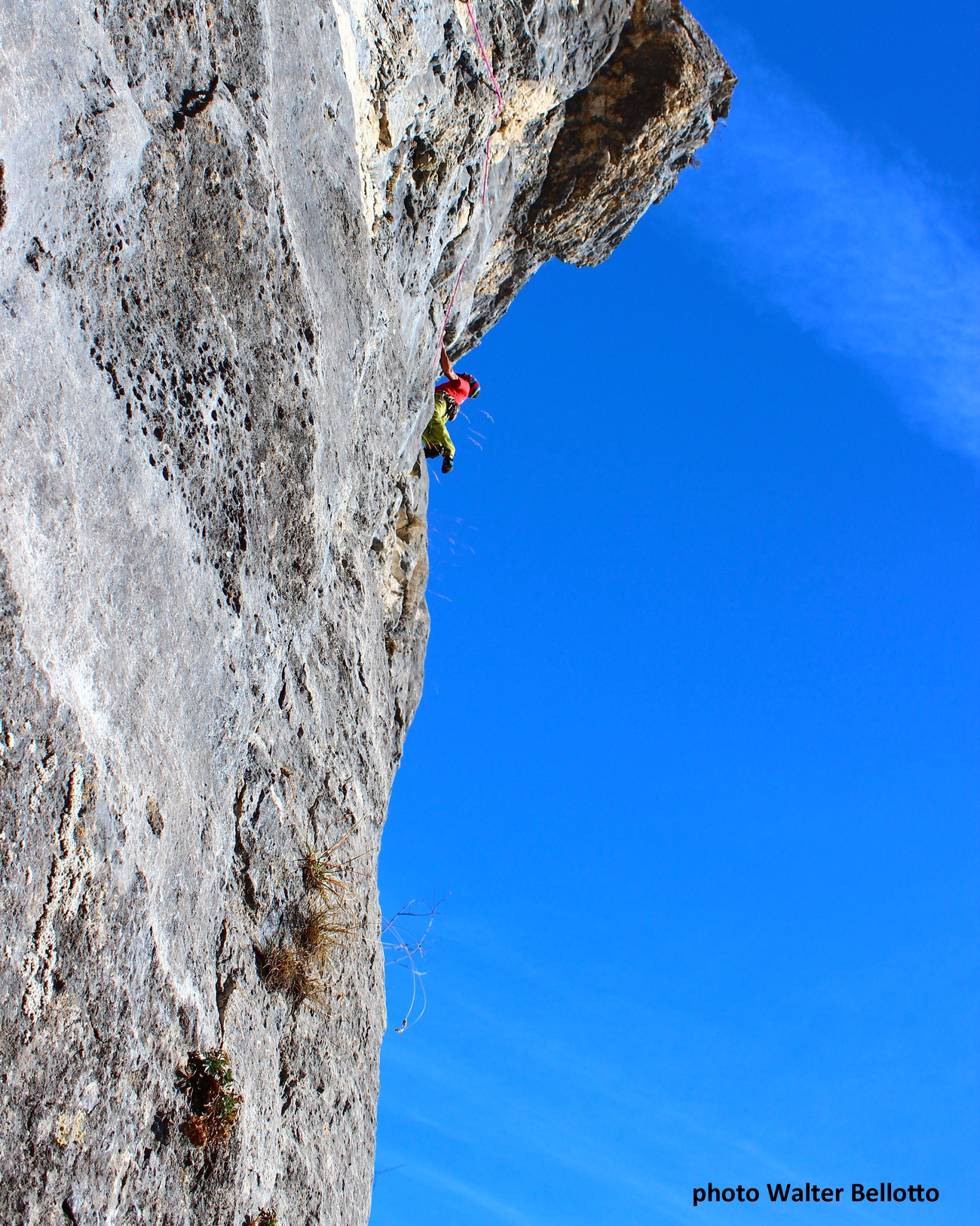Freerider Monte Coppolo