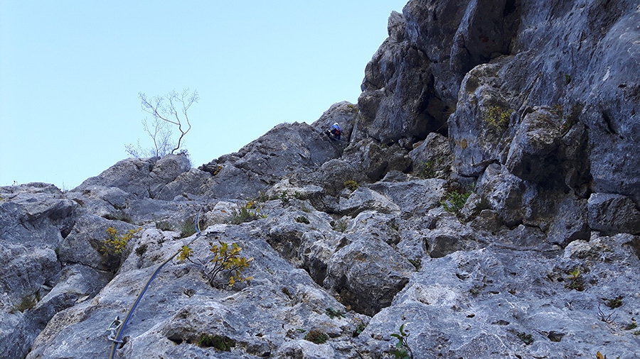 Effetti Collaterali Vertigini Monte Procinto