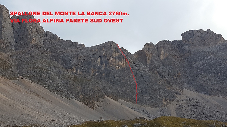 Flora Alpina Spallone del Monte La Banca