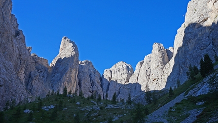 Linnéa Torre di Mezzaluna - Vallaccia - Linnéa: Torre di Mezzaluna © Rolando Larcher