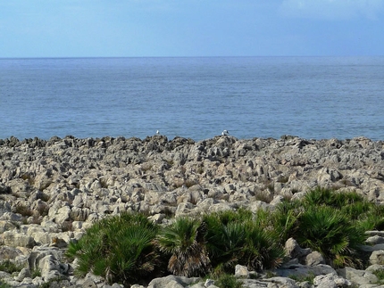 San Vito Lo Capo - climbing and travels - San Vito Lo Capo, Sicily